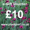 e-Gift Voucher Value: 10