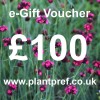 e-Gift Voucher Value: 100