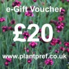 e-Gift Voucher Value: 20