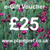 e-Gift Voucher Value: £25