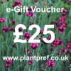 e-Gift Voucher Value: 25