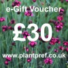 e-Gift Voucher Value: £30
