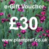 e-Gift Voucher Value: 30