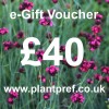 e-Gift Voucher Value: 40