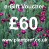 e-Gift Voucher Value: £60