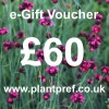 e-Gift Voucher Value: 60