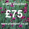 e-Gift Voucher Value: £75