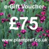 e-Gift Voucher Value: 75