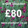 e-Gift Voucher Value: £80