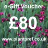 e-Gift Voucher Value: 80