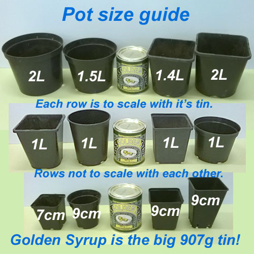 New Pot Size Guide added to all plant pages